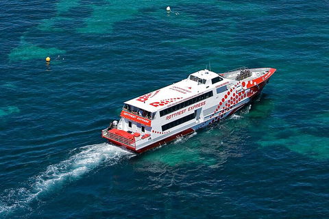 Discover Rottnest With Ferry & Bus Tour From Perth Or Fremantle - Australia Accommodation 3
