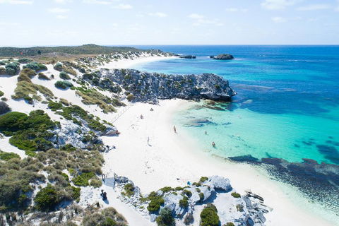 Discover Rottnest With Ferry & Bus Tour From Perth Or Fremantle - Australia Accommodation 5