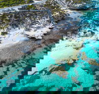 Rottnest Island Round-Trip Ferry from Perth or Fremantle - Australia Accommodation