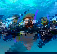 Great Barrier Reef Diving and Snorkeling Cruise from Cairns - Australia Accommodation
