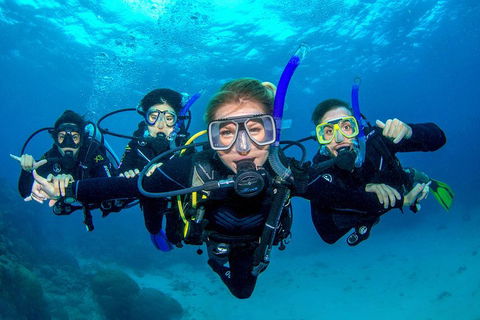 Great Barrier Reef Diving And Snorkeling Cruise From Cairns - Australia Accommodation 0