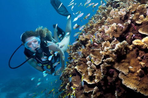 Great Barrier Reef Diving And Snorkeling Cruise From Cairns - Australia Accommodation 1