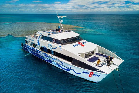 Great Barrier Reef Diving And Snorkeling Cruise From Cairns - Australia Accommodation 5