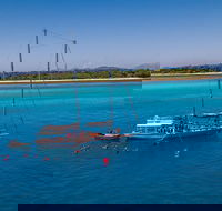 Ocean Free Green Island  Great Barrier Reef Snorkel Cruise Cairns 25 guests - Australia Accommodation