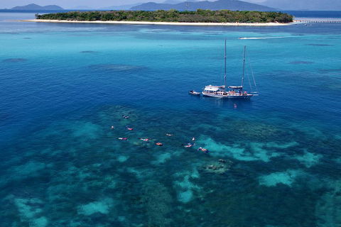 Ocean Free Green Island & Great Barrier Reef Snorkel Cruise, Cairns 25 Guests - Australia Accommodation 2