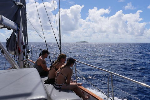 Ocean Free Green Island & Great Barrier Reef Snorkel Cruise, Cairns 25 Guests - Australia Accommodation 4