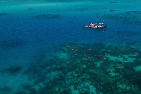 Ocean Free Green Island & Great Barrier Reef Snorkel Cruise, Cairns 25 Guests - Australia Accommodation 5