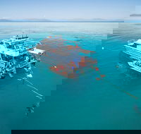 Ocean Freedom Great Barrier Reef Personal Luxury Snorkel  Dive Cruise Cairns - Australia Accommodation