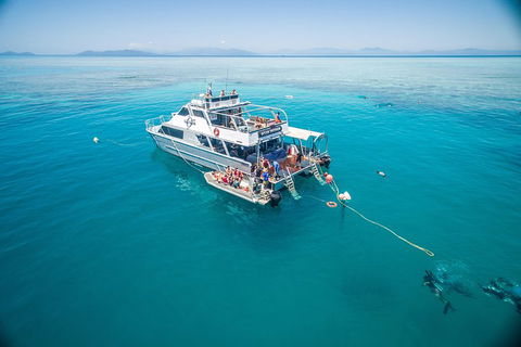 Ocean Freedom Great Barrier Reef Personal Luxury Snorkel & Dive Cruise, Cairns - Australia Accommodation 0