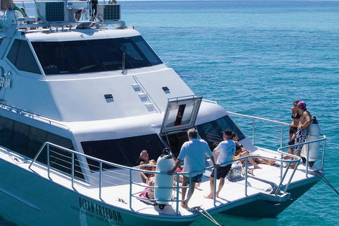Ocean Freedom Great Barrier Reef Personal Luxury Snorkel & Dive Cruise, Cairns - Australia Accommodation 1