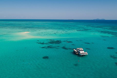 Ocean Freedom Great Barrier Reef Personal Luxury Snorkel & Dive Cruise, Cairns - Australia Accommodation 2