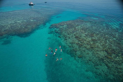 Ocean Freedom Great Barrier Reef Personal Luxury Snorkel & Dive Cruise, Cairns - Australia Accommodation 3
