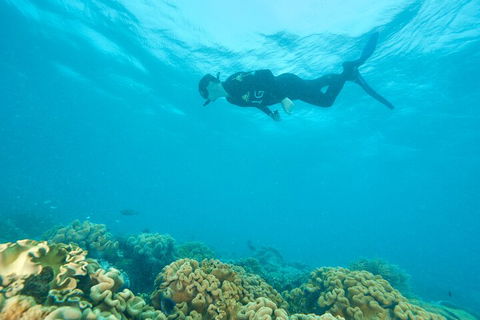 Ocean Freedom Great Barrier Reef Personal Luxury Snorkel & Dive Cruise, Cairns - Australia Accommodation 5