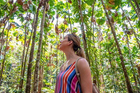 5 Day Australia Retreat: Queensland Daintree - Australia Accommodation 0