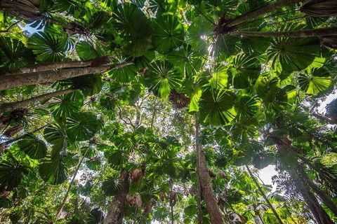 5 Day Australia Retreat: Queensland Daintree - Australia Accommodation 2