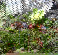 Australian Butterfly Sanctuary