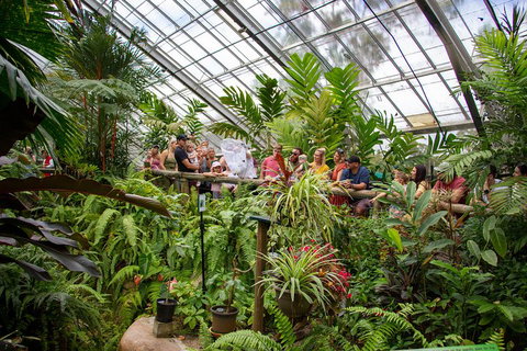 Australian Butterfly Sanctuary - Australia Accommodation 0