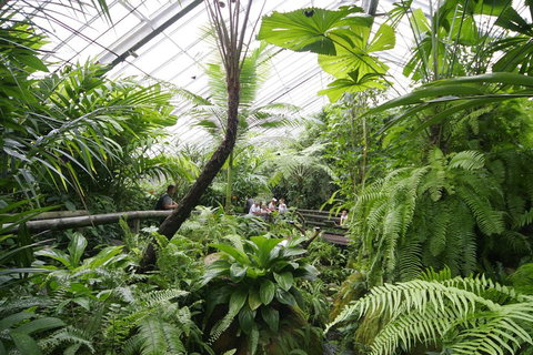 Australian Butterfly Sanctuary - Australia Accommodation 3