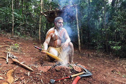 Kuranda Highlights Including Rainforestation Aboriginal Culture And Wildlife - Australia Accommodation 0