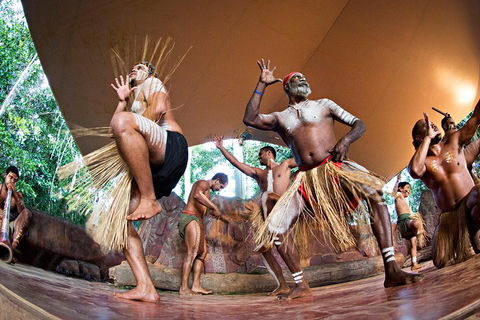 Kuranda Highlights Including Rainforestation Aboriginal Culture And Wildlife - Australia Accommodation 1