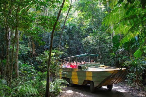Kuranda Highlights Including Rainforestation Aboriginal Culture And Wildlife - Australia Accommodation 2