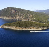 3-Hour Bruny Island Cruise from Adventure Bay Bruny Island - Australia Accommodation