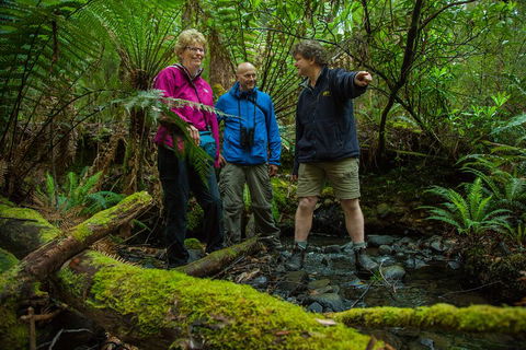 Bruny Island Traveller - Gourmet Tasting And Sightseeing Day Trip From Hobart - Australia Accommodation 1