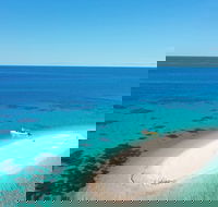 Ocean Safari Great Barrier Reef Experience in Cape Tribulation - Australia Accommodation