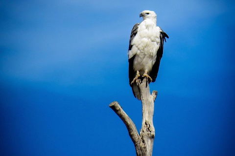 Kangaroo Island 75-Minute Ocean Safari - Australia Accommodation 0