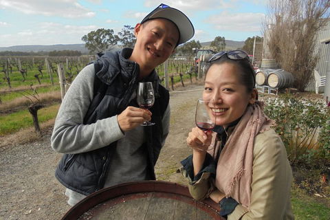 Swan Valley River Cruise And Wine Tasting Day Trip From Perth - Australia Accommodation 0