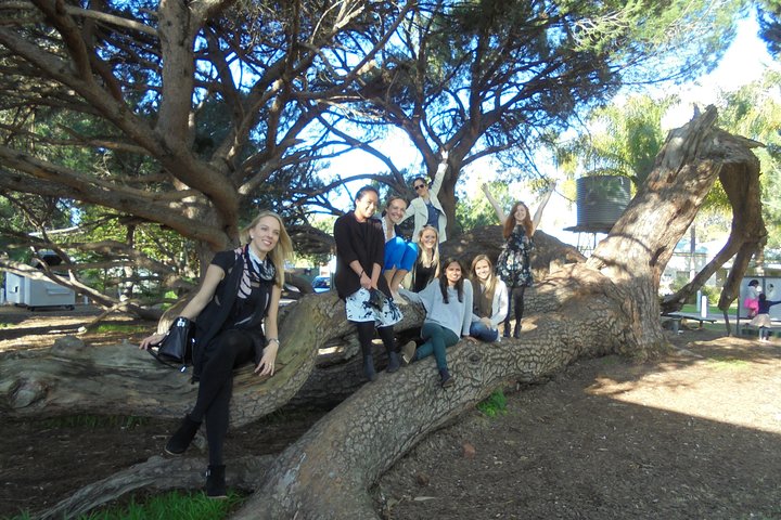 Australia Accommodation