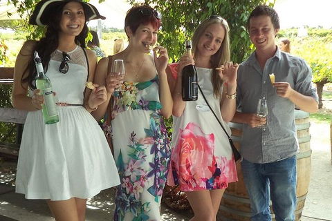1/2 Day Swan Valley Wine Cheese & Chocolate Tour Inc Afternoon Cruise To Perth - Australia Accommodation 4