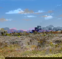 Overnight Uluru Ayers Rock Small-Group Camping Tour - Australia Accommodation
