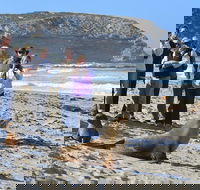 Full day Seal Bay Experience departing from Kangaroo Island - Australia Accommodation