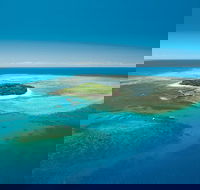 Cairns City Sights and Surrounds Tour - Australia Accommodation