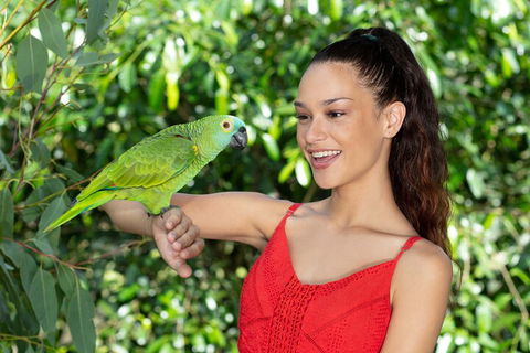 Kuranda Wildlife Experience Three Attraction Pass - Australia Accommodation 1