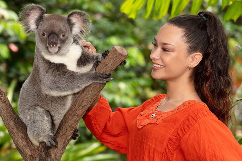 Kuranda Wildlife Experience Three Attraction Pass - Australia Accommodation 4