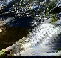 Cradle Mountain Day Tour from Launceston Including Lunch - Australia Accommodation
