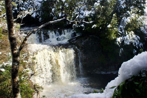 Cradle Mountain Day Tour From Launceston Including Lunch - Australia Accommodation 0