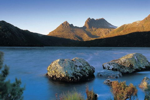 Cradle Mountain Day Tour From Launceston Including Lunch - Australia Accommodation 2