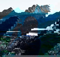 Cradle Mountain Park Explorer Guided Tour - Australia Accommodation