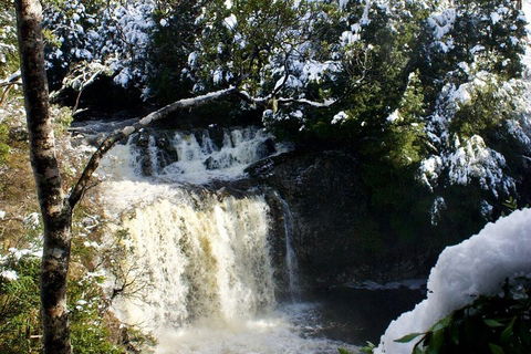 Cradle Mountain Park Explorer Guided Tour - Australia Accommodation 4