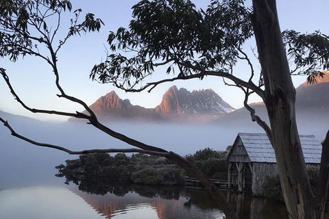 Cradle Mountain Park Explorer Guided Tour - Australia Accommodation 5