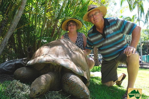 Small-Group Australia Zoo Day Trip From Brisbane - Australia Accommodation 1