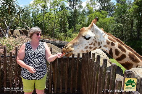 Small-Group Australia Zoo Day Trip From Brisbane - Australia Accommodation 2