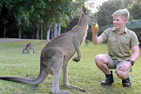 Small-Group Australia Zoo Day Trip From Brisbane - Australia Accommodation 4
