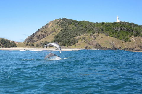 Kayaking With Dolphins In Byron Bay Guided Tour - Australia Accommodation 0