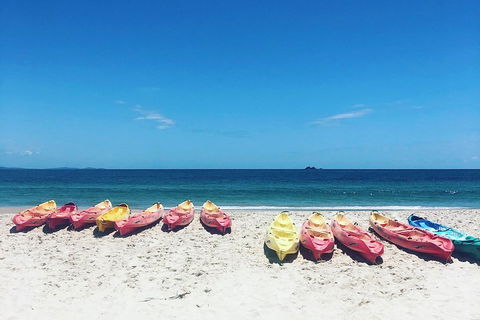 Kayaking With Dolphins In Byron Bay Guided Tour - Australia Accommodation 1