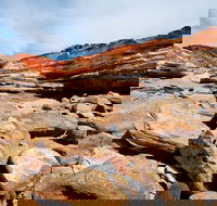 Broome City Sightseeing Tour with Optional Camel Ride - Australia Accommodation