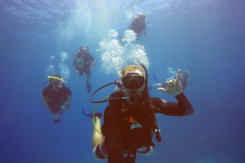 12-Day Great Barrier Reef Marine Conservation Program From Cairns - Australia Accommodation 0
